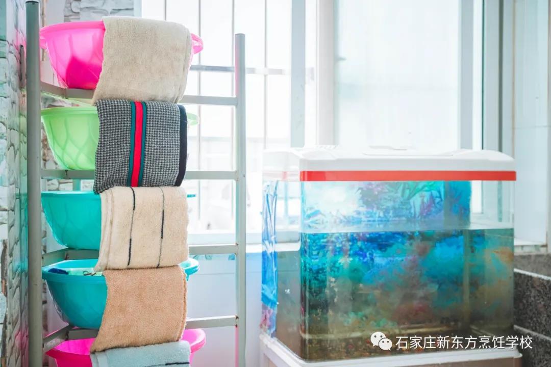 一見傾心丨get宿舍相處之道，幸福值拉滿~
